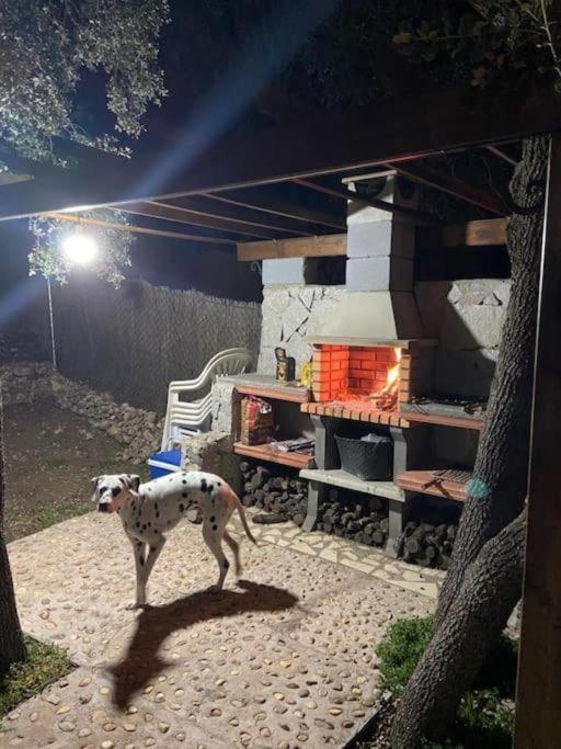 Desconexion Y Paz, Cabana En La Sierra Albalate De Zorita Εξωτερικό φωτογραφία